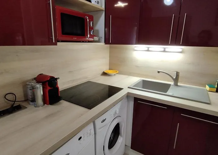 Apartament T2 Rd Jardin Grande Terrasse Coeur 2 M Clim Garage Wifi *