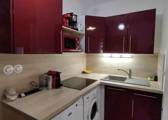 Apartament T2 Rd Jardin Grande Terrasse Coeur 2 M Clim Garage Wifi