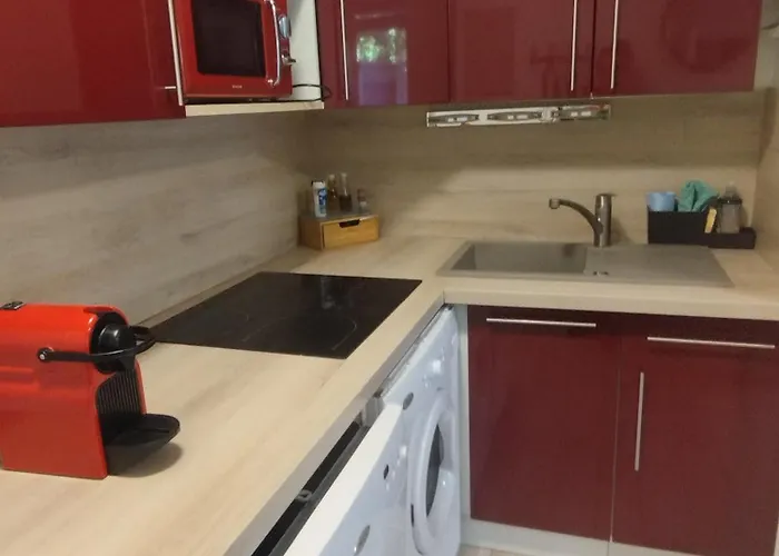 T2 Rd Jardin Grande Terrasse Coeur 2 M Clim Garage Wifi Apartman Sainte-Maxime