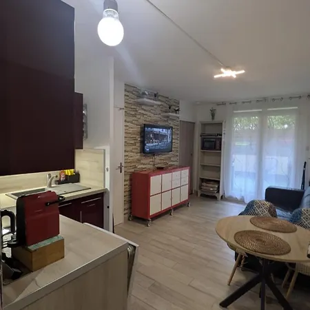 Apartment T2 Rd Jardin Grande Terrasse Coeur 2 M Clim Garage Wifi *